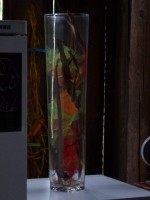 P1130501